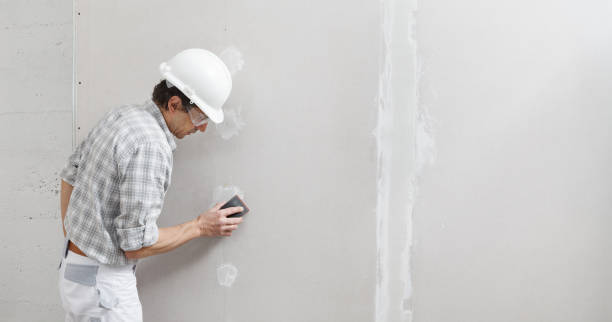  Mountain View, HI Drywall & Painting Services Pros